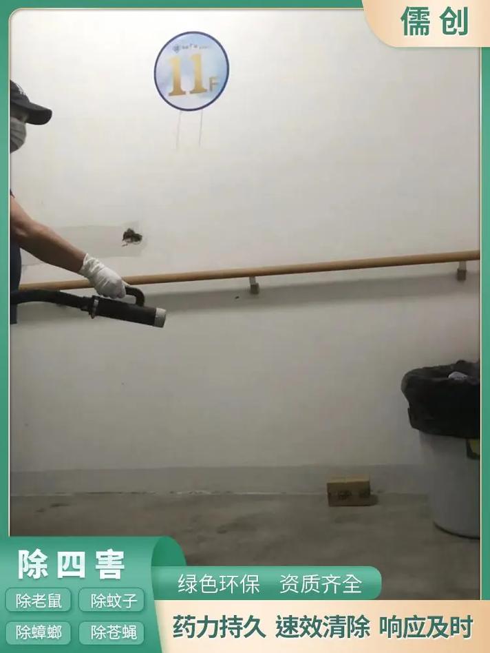 守护工厂安全，大良白蚁防治与灭鼠全攻略