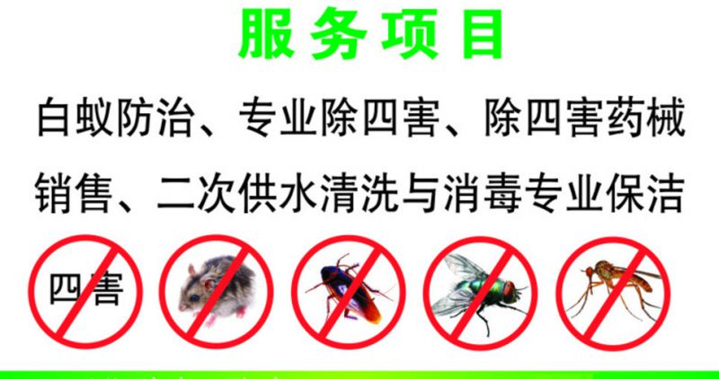 潍坊昌乐寿光临朐专业杀虫服务 包年防治老鼠蟑螂蚊蝇蚂蚁与白蚁